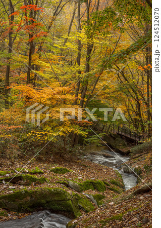 滝沢渓谷の風景 滝沢渓谷の風景 124512070