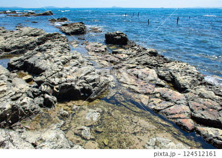 海岸の磯の岩肌 海岸の磯の岩肌 124512161