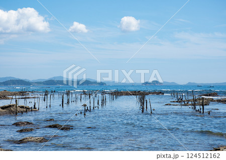 磯浜の海岸 124512162