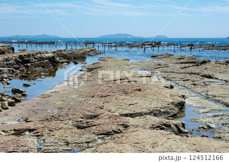 磯の海岸、伊勢湾の眺め 124512166