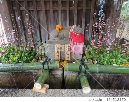 京都の名所、飛梅伝説で有名な菅原道真公を御祭神としておまつりする北野天満宮の花手水 京都の名所、飛梅伝説で有名な菅原道真公を御祭神としておまつりする北野天満宮の花手水 124512370