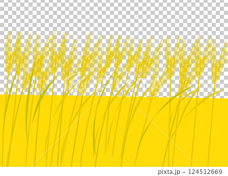 一幅以收穫季節的麥田風景為主題的插畫 124512669