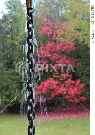 紅葉をバックに降る雨が伝わる鎖 124512799