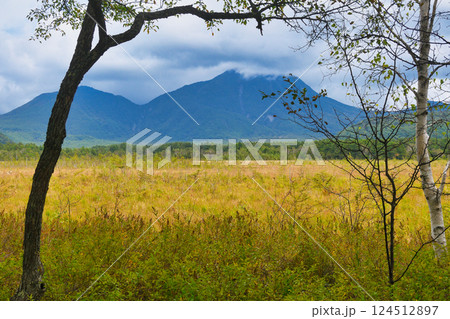 戦場ヶ原自然研究路 　9月 初秋の戦場ヶ原　（栃木県日光市） 124512897