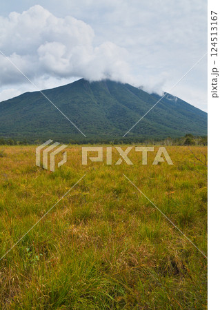 戦場ヶ原自然研究路 　9月 初秋の戦場ヶ原　（栃木県日光市） 124513167