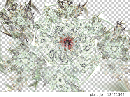 花 1 花 1 124513454