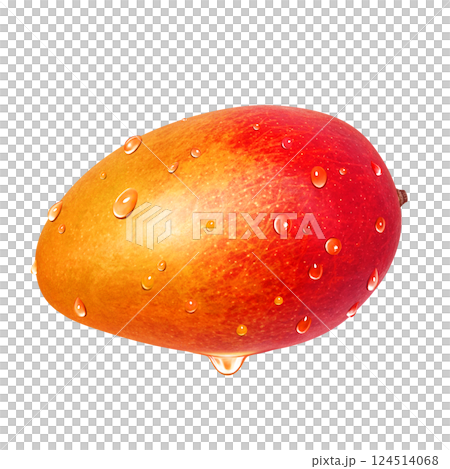 Mango illustration realistic white background 124514068