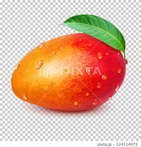 Mango illustration realistic white background 124514073