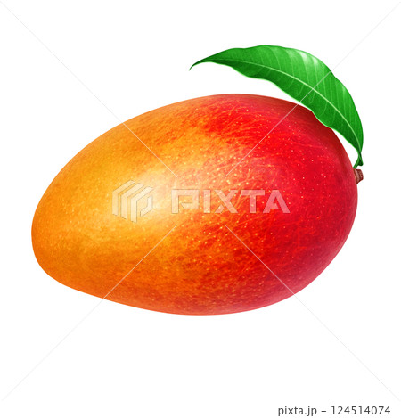 マンゴー イラスト リアル 白バック 124514074