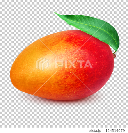 Mango illustration realistic white background 124514079
