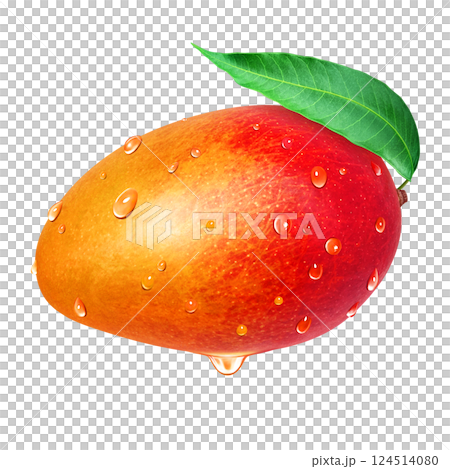Mango illustration realistic white background 124514080
