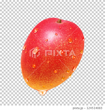 Mango illustration realistic white background 124514083