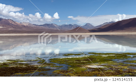 鏡のような塩湖とアンデス山脈の絶景(ボリビア・高原地帯) 鏡のような塩湖とアンデス山脈の絶景(ボリビア・高原地帯) 124514155