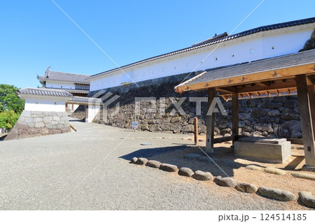 宮城県・白石市・白石城 宮城県・白石市・白石城 124514185