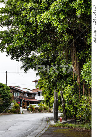 雨の日の沖縄 124514217