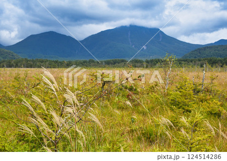 戦場ヶ原自然研究路 　9月 初秋の戦場ヶ原　（栃木県日光市） 124514286