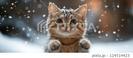 可愛い猫 124514423