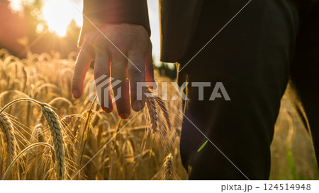 Closeup view of businessman touching ripening wheat ear Closeup view of businessman touching ripening wheat ear 124514948
