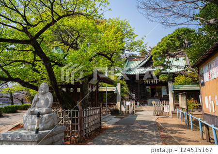 初春の荏原神社　東京都品川区 124515167