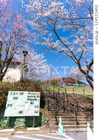 看板・案内板・周辺風景「湯の温かさと桜の美しさに癒やされる」天岩戸の湯(宮崎県西臼杵郡高千穂町) 124515403