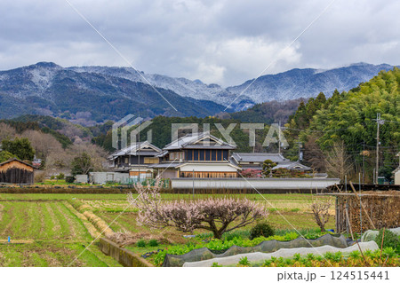 飛鳥駅から飛鳥宮跡へ 吉備姫王墓付近から梅の花と雪の談山(多武峰) 2025年3月19日 124515441