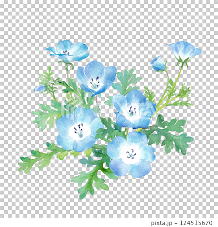 春天的花朵：粉蝶花水彩插圖。庫存剪貼畫（向量） 124515670