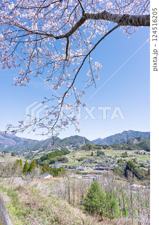 山並みを背景に桜の花「湯の温かさと桜の美しさに癒やされる」天岩戸の湯(宮崎県西臼杵郡高千穂町) 124516205