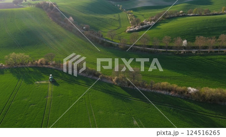 Green wavy hills with agricultural fields 124516265