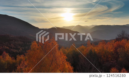 Aerial view of colorful foliage at sunset in mountains Aerial view of colorful foliage at sunset in mountains 124516280