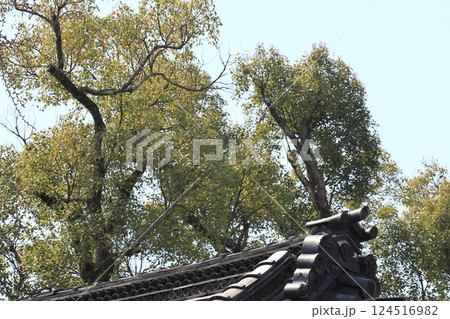 屋根の上の鬼瓦 124516982