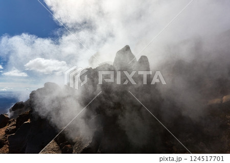 Steam activity in New Zealand Steam activity in New Zealand 124517701