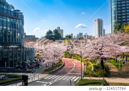 東京ミッドタウン　満開の桜 124517784