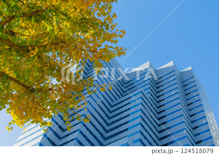 Eco friendly office building. modern city. Green tree in urban, metro green environment in Japan. Eco friendly office building. modern city. Green tree in urban, metro green environment in Japan. 124518079