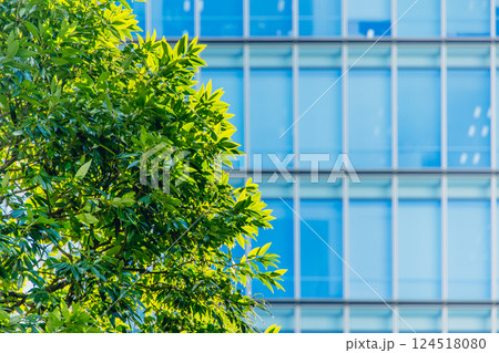 Eco friendly office building. modern city. Green tree in urban, metro green environment in Japan. 124518080