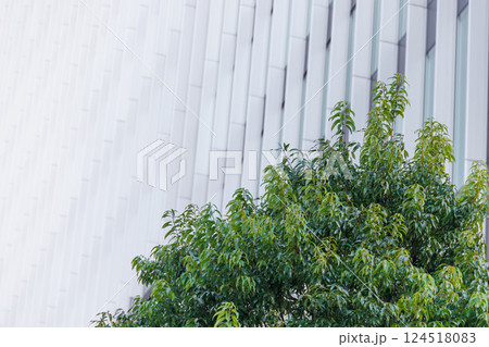 Green tree with office building background in modern city green city urban area copy space for text 124518083