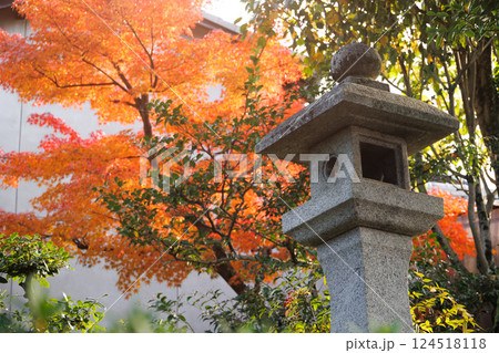 Japanese temple in red maple autumn season travel landmark at Kyoto Japan for background. Japanese temple in red maple autumn season travel landmark at Kyoto Japan for background. 124518118