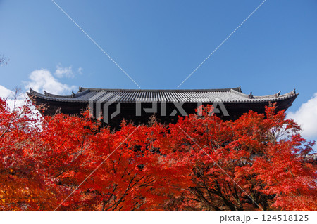 Japanese temple in red maple autumn season travel landmark at Kyoto Japan for background. Japanese temple in red maple autumn season travel landmark at Kyoto Japan for background. 124518125