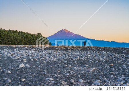 静岡市にある三保松原から見る日の出と富士山(静岡県) 静岡市にある三保松原から見る日の出と富士山(静岡県) 124518553