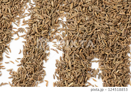 Dried Cumin Seeds Close-Up Culinary Ingredient on White Top View Dried Cumin Seeds Close-Up Culinary Ingredient on White Top View 124518853