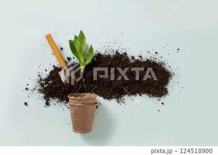 Various gardening hand tools, flower and soil on blue background. Spring gardening. Concept season planting, work and hobby. Top view. 124518900