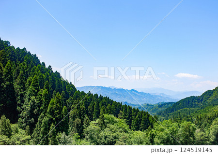 新緑の山の稜線 新緑の山の稜線 124519145