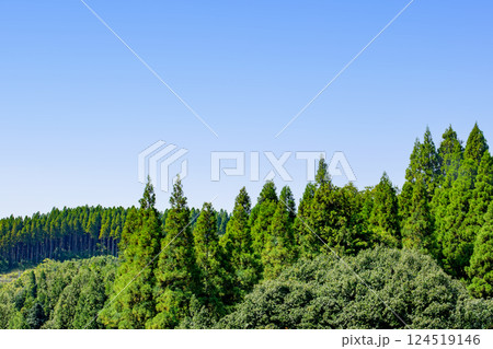 新緑の山の稜線 新緑の山の稜線 124519146