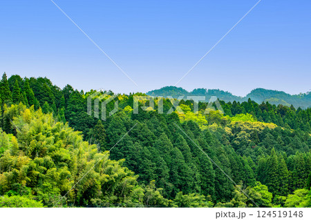 新緑の山の稜線 新緑の山の稜線 124519148