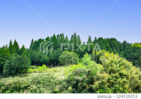 新緑の山の稜線 新緑の山の稜線 124519151