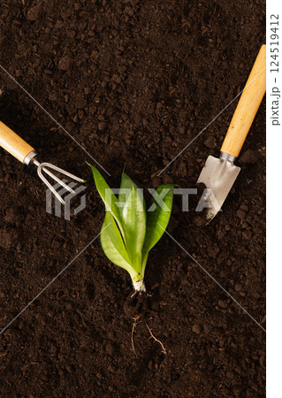 Garden hand cultivator and planting flower on soil. Season gardening and work. Hand rakes. Hobby. 124519412