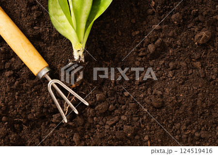 Garden hand cultivator and planting flower on soil. Season gardening and work. Hand rakes. Hobby. Close up. 124519416