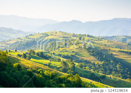 rural area of transcarpathia in summer. vacation season. countryside scenery with rolling hills in morning light. carpathian mountain landscape of ukraine on a sunny day. alpine farmland in europe 124519654