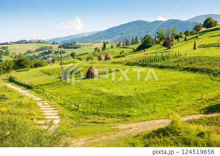 haystacks on the agricultural field near the forest. scenic view. rural landscape at the foot of the mountain in summer. beautiful countryside scenery in evening light. rolling highland of ukraine 124519656