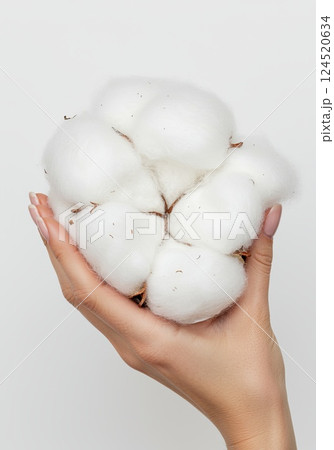 Close-up of fluffy white cotton in woman's hand against white background 124520634