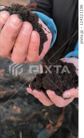 Male hands checking soil health before growth a seed of vegetable or plant seedling. Hands holding soil. 124521196
